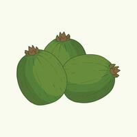 Feijoa Fruit Flat Design Cartoon Icon Illustration vector