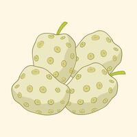 Noni fruit flat design cartoon icon illustration vector
