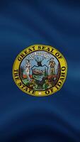 Idaho State Waving Flag in Vertical Orientation. Realistic Flag Animation. Seamless Loop Background. video