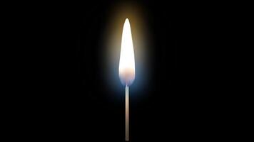 Realistic animation of an ignited wooden match stick with seamless loop burning flame isolated on black background. video