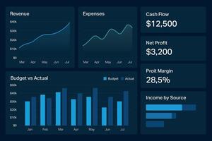 Professional financial dashboard with charts andmetrics vector