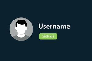 User Profile Screen with Avatar, Username, and Settings Button vector