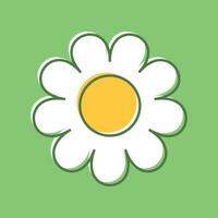 A daisy flower on a green background vector