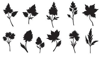 Botanical flower leave ornament pack in silhouette perfect for nature inspired decorative themes vector