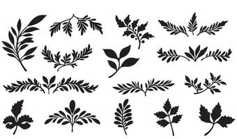 Nature theme flower and leaf bundle silhouette style for product design and packaging artwork vector