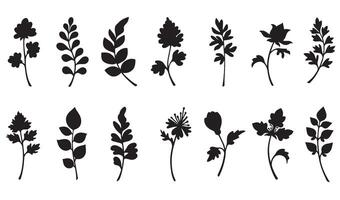 Decorative flower and leaf silhouette bundle for branding invitation and handmade design projects vector