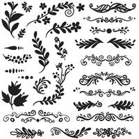 Hand drawn swill ornament silhouette bundle with classic decorative elements for design vector