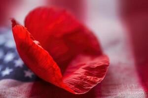 Vibrant Red Poppy Petal with American Flag Colors in Soft Focus Macro Photography photo