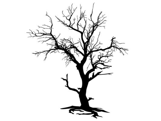 Black Branch Tree or Naked trees and roots silhouettes. Hand drawn isolated illustrations.