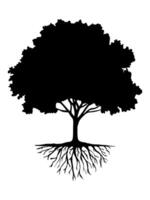 Tree and root isolate on white background. vector