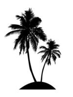 palm trees silhouettes. Hand drawn isolated illustrations style. vector