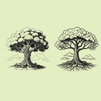 tree illustration of an old tree with line art or llustration silhouette tree vector