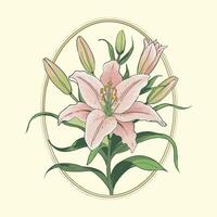 illustration of lily Intricate Lily Illustration with Buds and Leaves on Light Yellow Background - Elegant Botanical Art vector