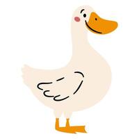 Flat illustration in a simple children's style. Cute duck on white background. Farm animals vector