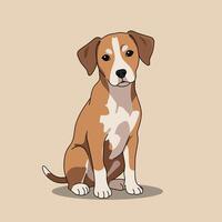 Sitting brown and white dog with attentive expression illustration on beige background vector