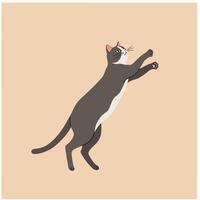 Cat stretching with brown and white fur on beige background illustration vector