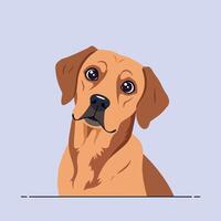 Friendly brown dog portrait with expressive eyes looking up illustration design vector