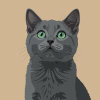 Gray cat with green eyes looking up illustration in square format with beige background vector