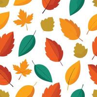 autumn leaves seamless pattern illustration vector