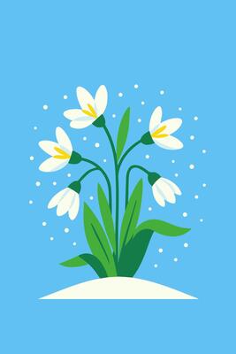 Blooming snowdrops in snow