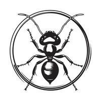 Ant Logo Images. Ant logo template design Image isolated on white background vector