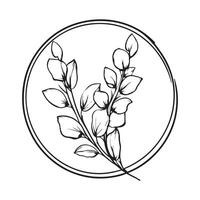 Eucalyptus leaves branch. Black and white Eucalyptus leaves branch image on white background. vector