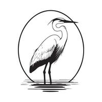 Purple stork Image isolated on the white background vector