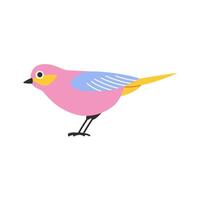 Spring bird illustration. Beautiful birdie. cartoon illustration in childish style isolated on white background. vector
