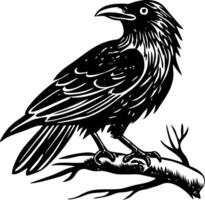 A glyph style illustration of a crow vector