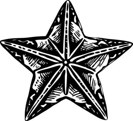 A glyph style illustration of a nautical star