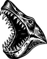 A vintage style illustration of a shark jaw vector