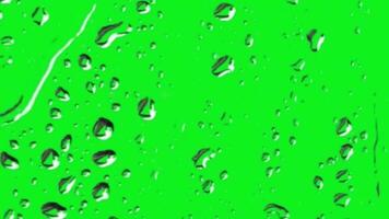 Dropping water droplets on a green screen background perfect for rain weather and creative projects.rain drops on window green screen video