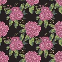 Peonies Bouquet On Black Background vector