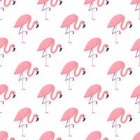 Pink Flamingos Seamless Pattern vector