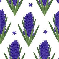 Hyacinth Seamless Pattern White Background vector
