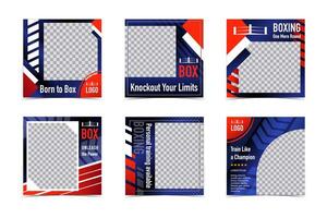 Sport Card Design Templates. Boxing Square Frames with text and logo vector