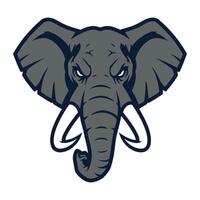 Illustration of an elephant head, featuring large, detailed ears and prominent tusks. vector