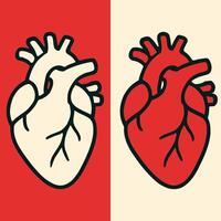 Illustration of an anatomical heart depicted in two contrasting colors. On the left, a white heart with black outlines against a red background. vector