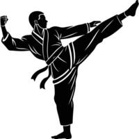 Silhouette of karate man practicing high kick martial arts technique vector