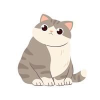 Funny fat cat on white background. Gray kitten isolated. character vector