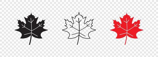 maple leaves icon collection. Maple leaf icon set. red and black maple leaf canada icon. vector