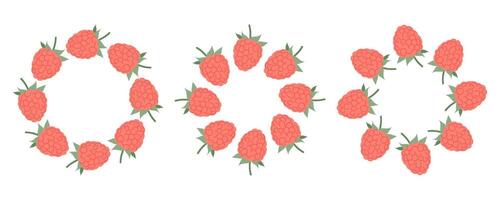 Cute raspberry frames. Collection of round berry borders for design and decoration. For invitations, food packaging, summer cards and natural product branding. vector