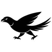 A blue jay of different on a white background.2 vector
