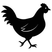 A hen female chicken of different on a white background. vector
