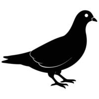 A running silhouette pigeon of different on a white background. vector