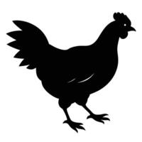 A chicken of different on a white background. vector