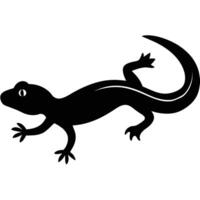 A salamander of different on a white background. vector
