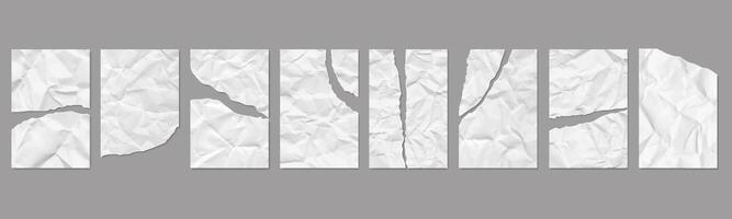 Torn crumpled pieces of paper sheets vector