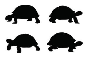 Tortoises walking in different positions silhouettes set illustration on white background. vector