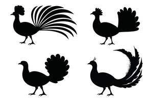 Lyrebird silhouettes set isolated flat illustration on white background vector